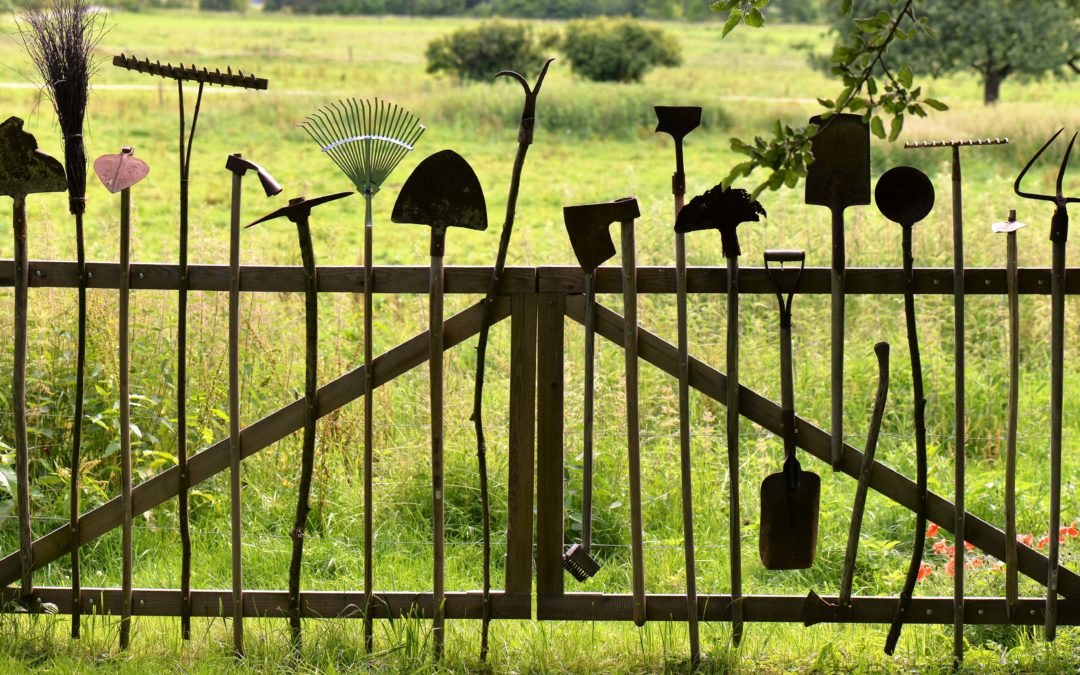 Culture manuelle et traditionnelle