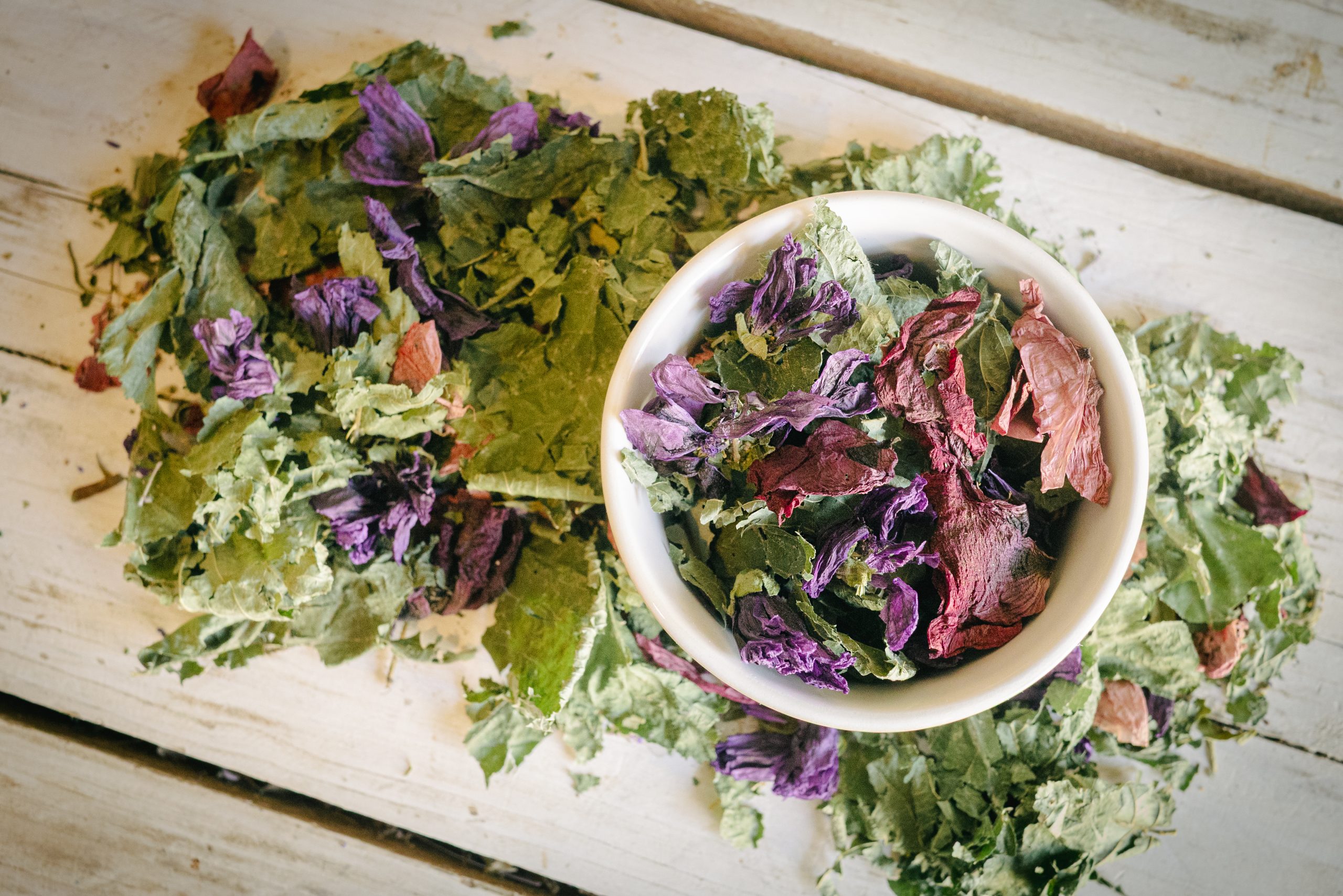 La Cabourne – Image 2