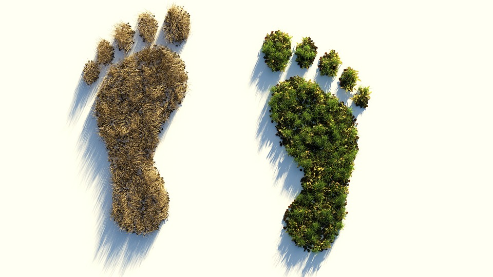 Réduire notre empreinte écologique