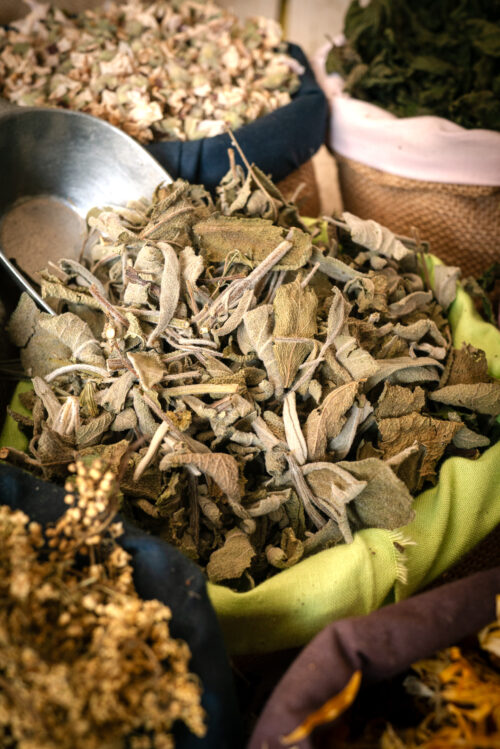 Sauge officinale