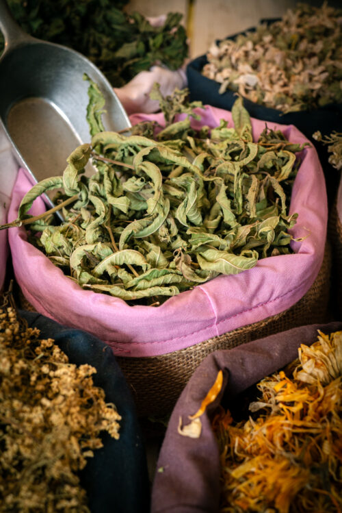 Verveine odorante