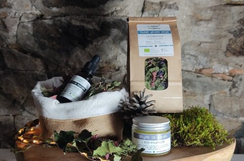Coffret Vive le vent d’hiver