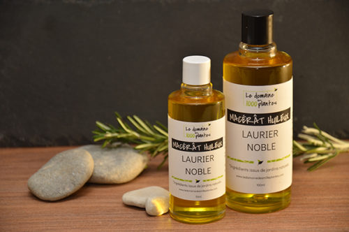 Macération huileuse au Laurier noble