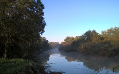 Le marais de Saint Jean