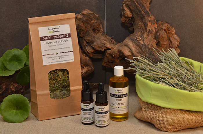 Coffret cadeau Draineur Végétal - Le Domaine des 1000 plantes