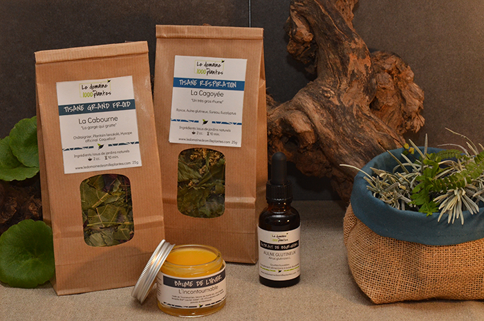 coffret-cadeau-hiver Coffret cadeau de l'hiver- Le Domaine des 1000 plantes