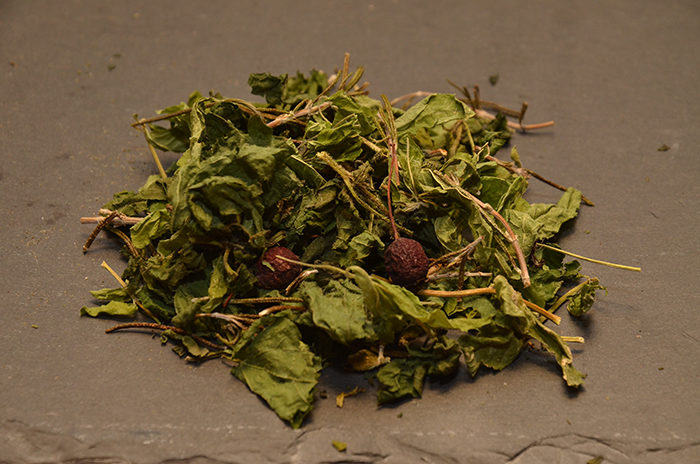 Tisane du Matin - L'Aiguail - Le domaine des 1000 plantes