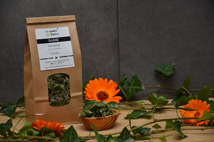 Sachet de Tisane de Noisetier - Le domaine des 1000 plantes