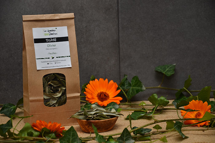 Sachet de Tisane Olivier - Le domaine des 1000 plantes