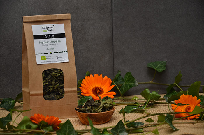 Sachet de Tisane Plantain Lancéolé - Le domaine des 1000 plantes