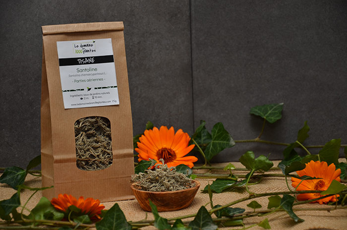 Sachet de Tisane de Santoline - Le domaine des 1000 plantes