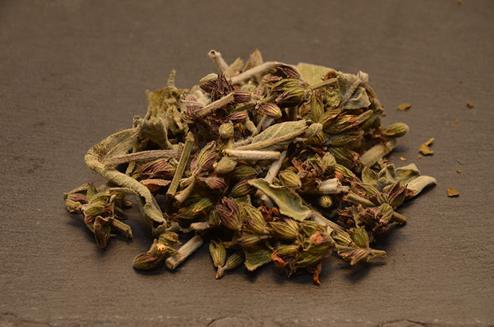 Sauge officinale, Tisane anti-fatigue