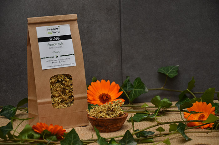 Sachet de tisane de sureau noir - Le domaine des 1000 plantes