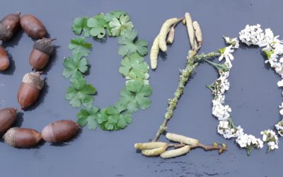 Meilleurs vœux 2020