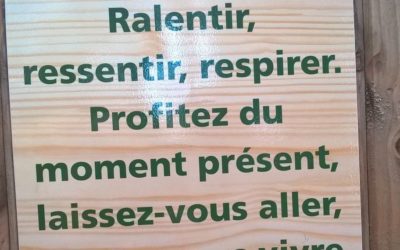 La sylvothérapie : Se reconnecter à la nature et s’apaiser