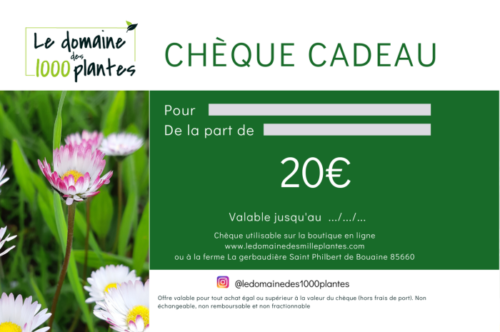 e-Carte Cadeau