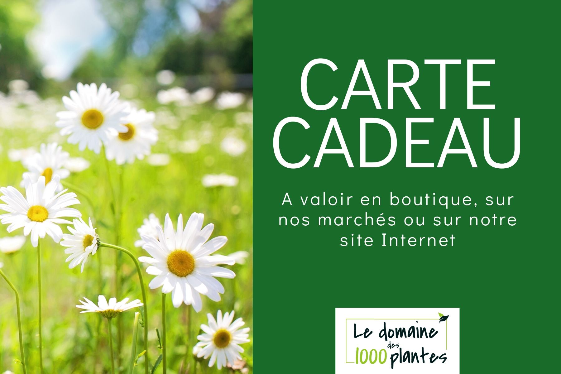 domaine-1000-plantes-carte-cadeau Sachet de Tisane de Noël - Le Joug Blanc - Le domaine des 1000 plantes