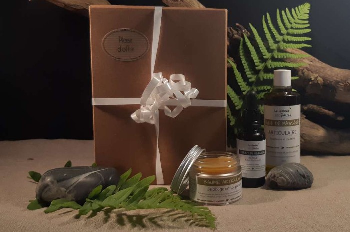 shoting photo mai 2021_page-0009 Coffret articulations - Le Domaine des 1000 plantes