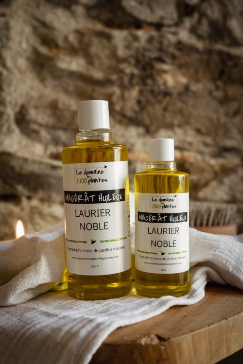 Macération huileuse au Laurier noble