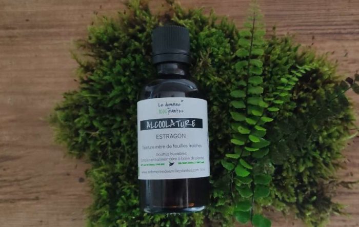 Alcoolature bio d'estragon - Le Domaine des 1000 plantes