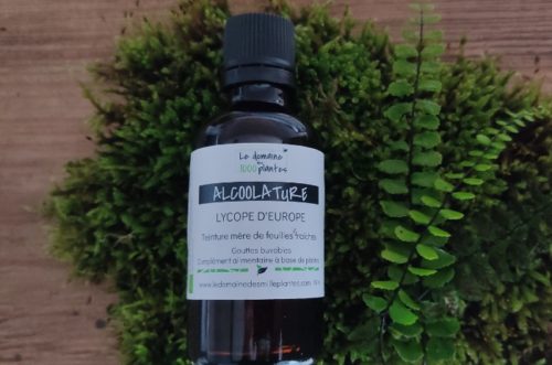 Alcoolature de lycope d'europe - Le Domaine des 1000 plantes