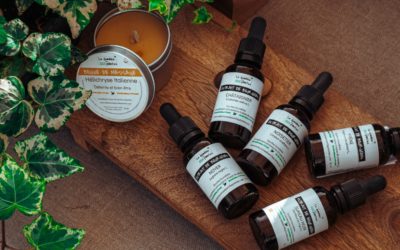 Canicule : comment conserver vos produits à base de plantes ?