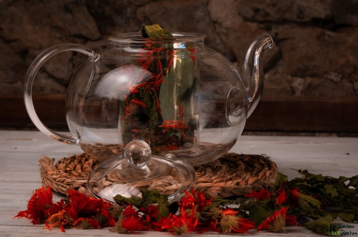 Tisane au calendula - Le Domaine des 1000 plantes