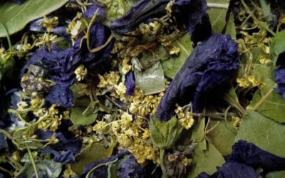 Remèdes naturels pour soulager la toux sèche