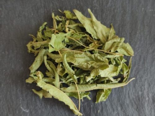 Verveine odorante
