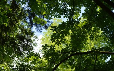 Conseils pour un mois de septembre serein