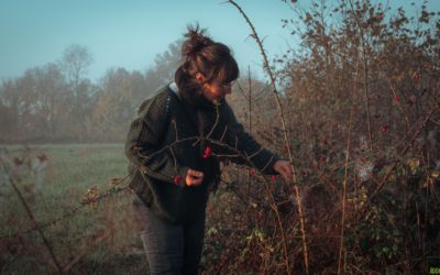 Quelles sont les cueillettes d’automne ?