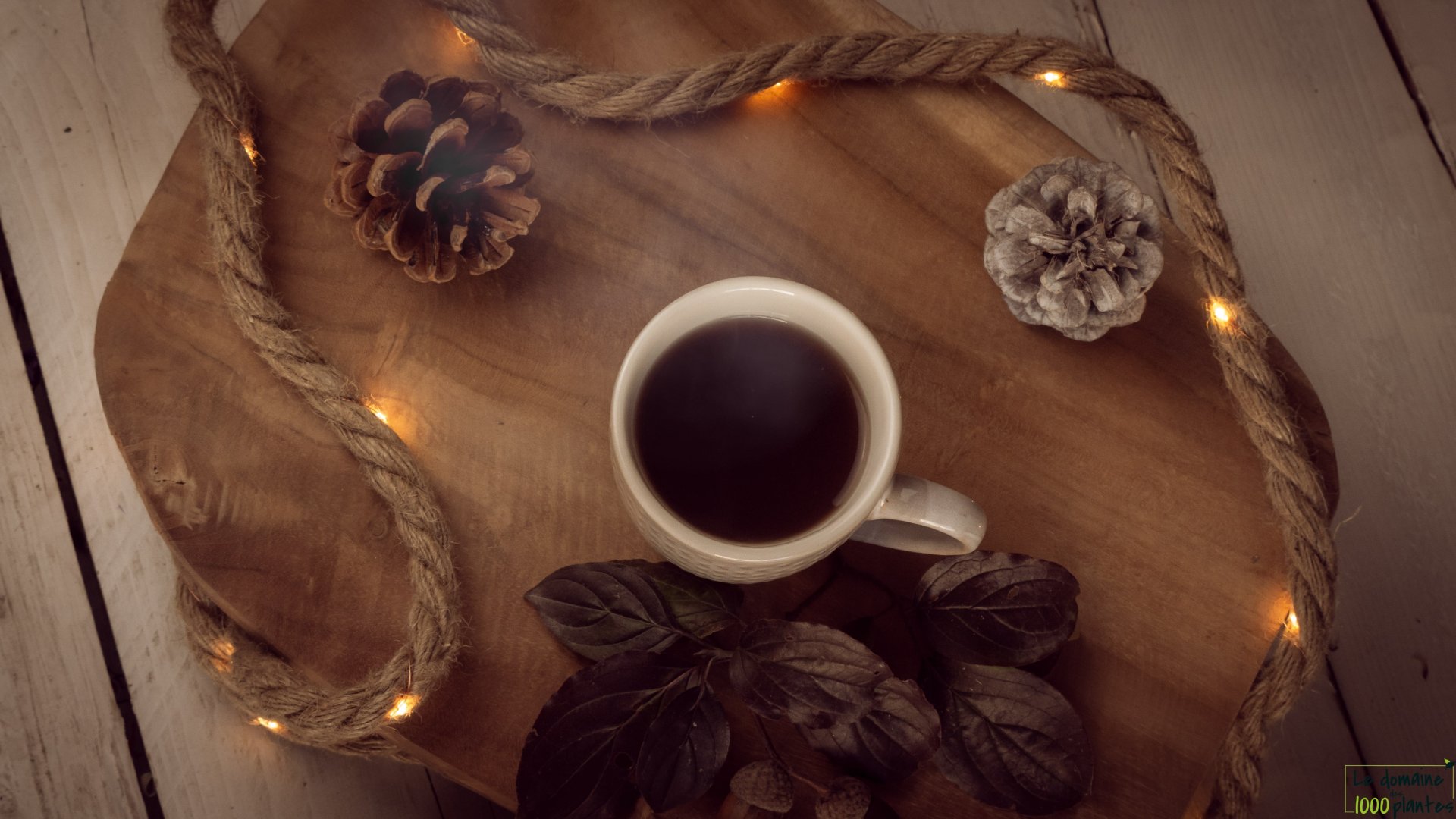 Le Domaine des 1000 plantes - Herboristerie