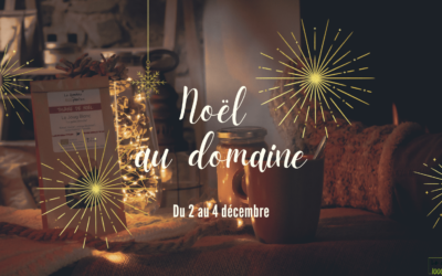 Animations de Noël au Domaine des 1000 plantes (en Vendée)