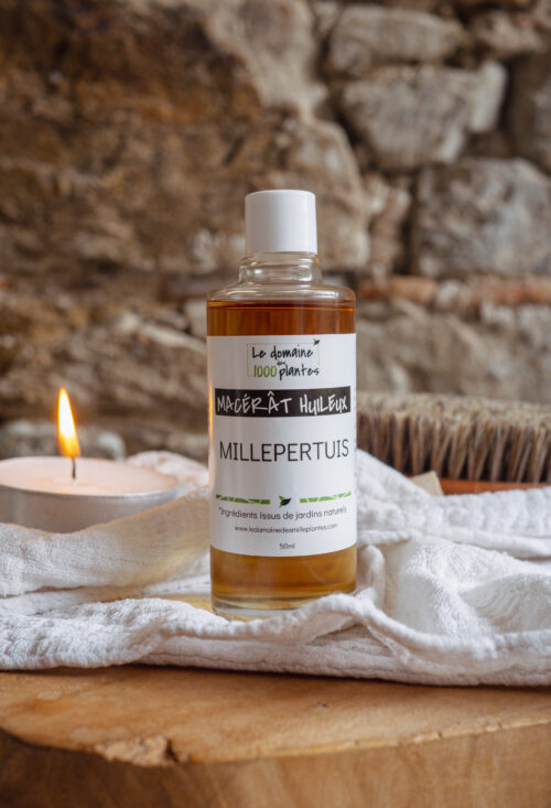Macération huileuse au Millepertuis