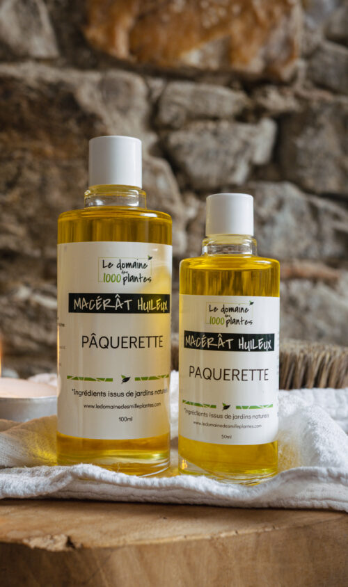 Macérat huileux de Pâquerette