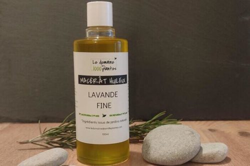 Macération huileuse de Lavande Fine