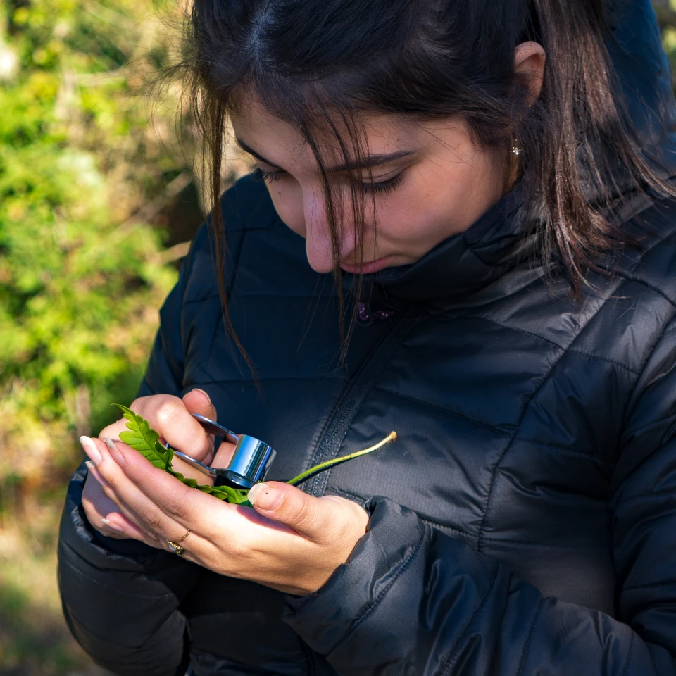 sortie-nature-domaine-1000-plantes-loupe Sorties nature proposées par le domaine des 1000 plantes