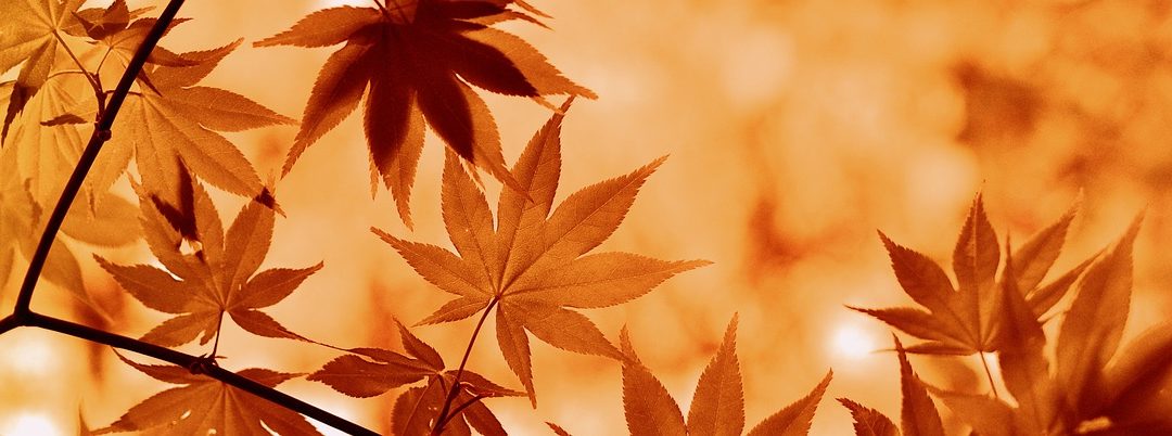 L’équinoxe d’automne
