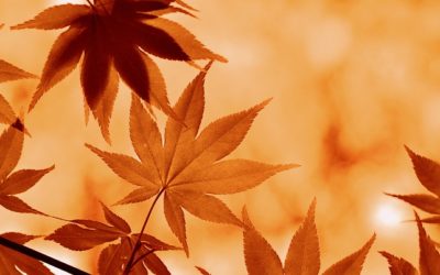 L’équinoxe d’automne