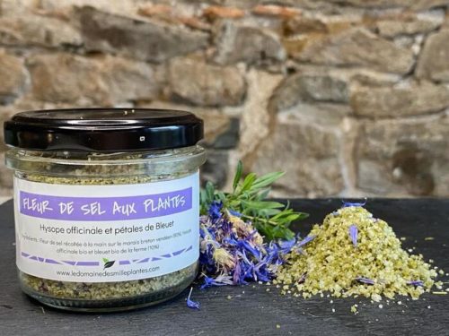 Fleur de sel Hysope et pétales de Bleuet bio