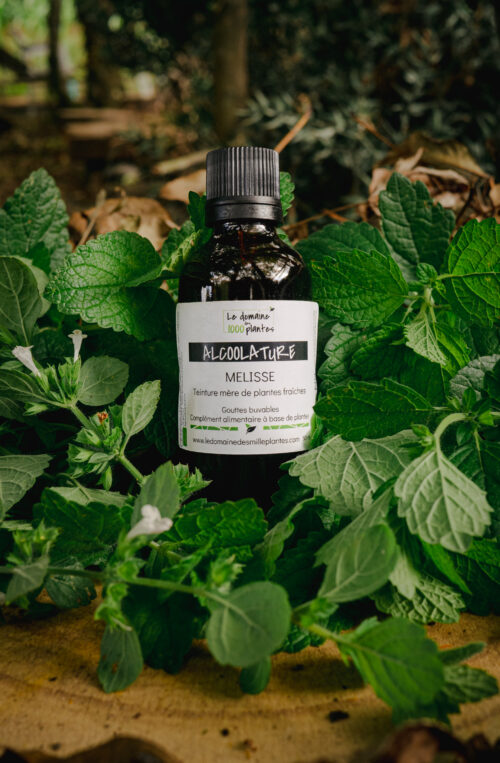 Alcoolature Bio Mélisse