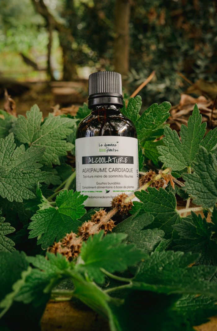 Alcoolature Bio Agripaume Cardiaque