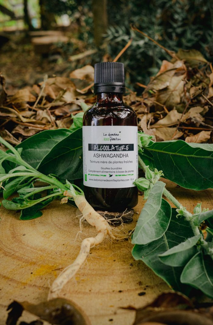 Alcoolature Bio Ashwagandha