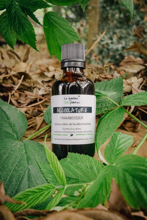 Alcoolature Bio Framboisier