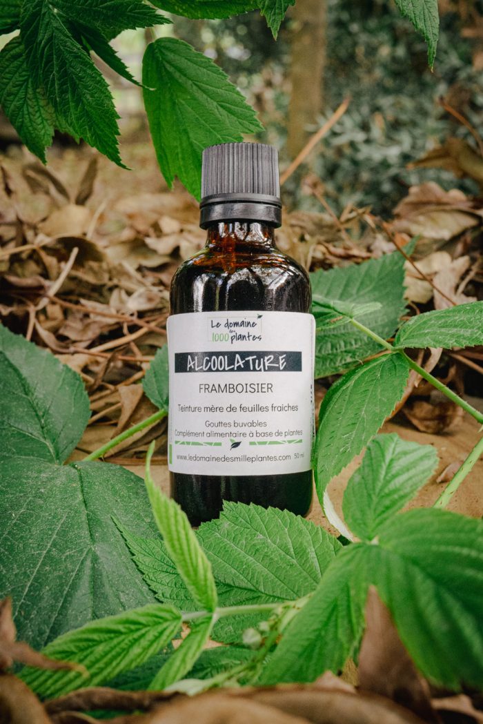Alcoolature Bio Framboisier