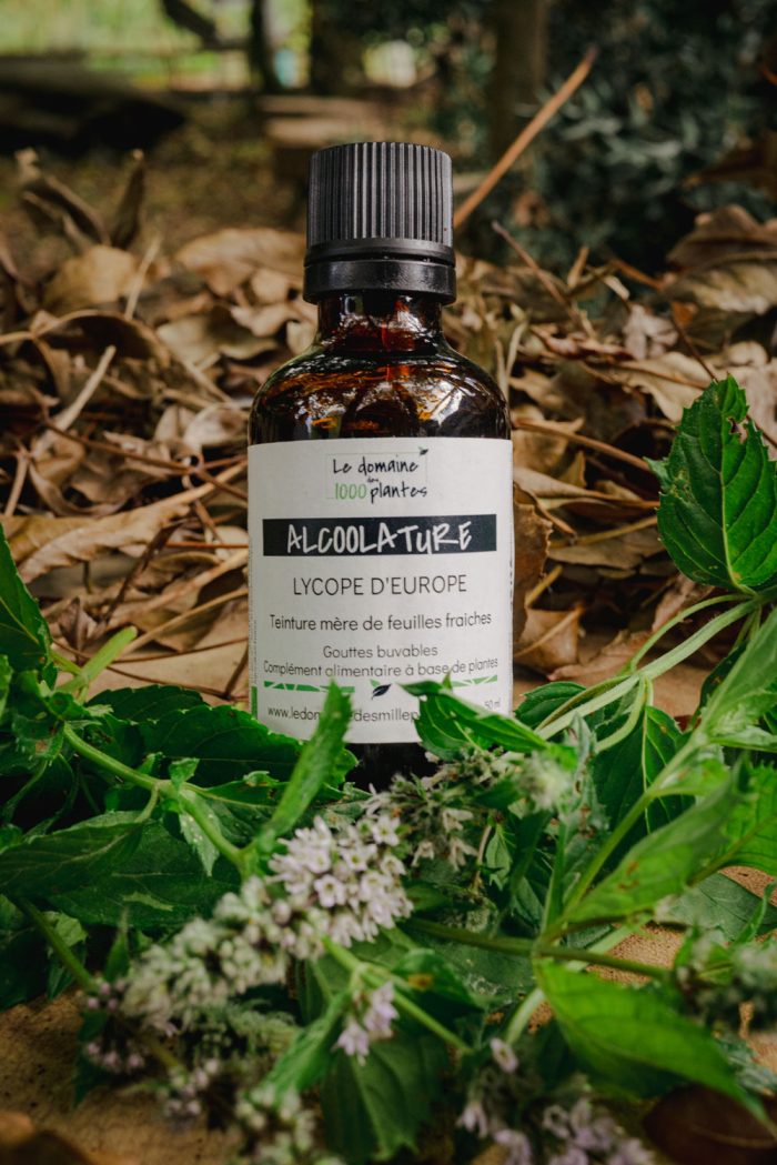 Alcoolature Bio Lycope d'Europe