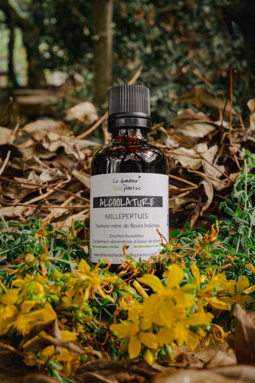 Alcoolature Bio Millepertuis
