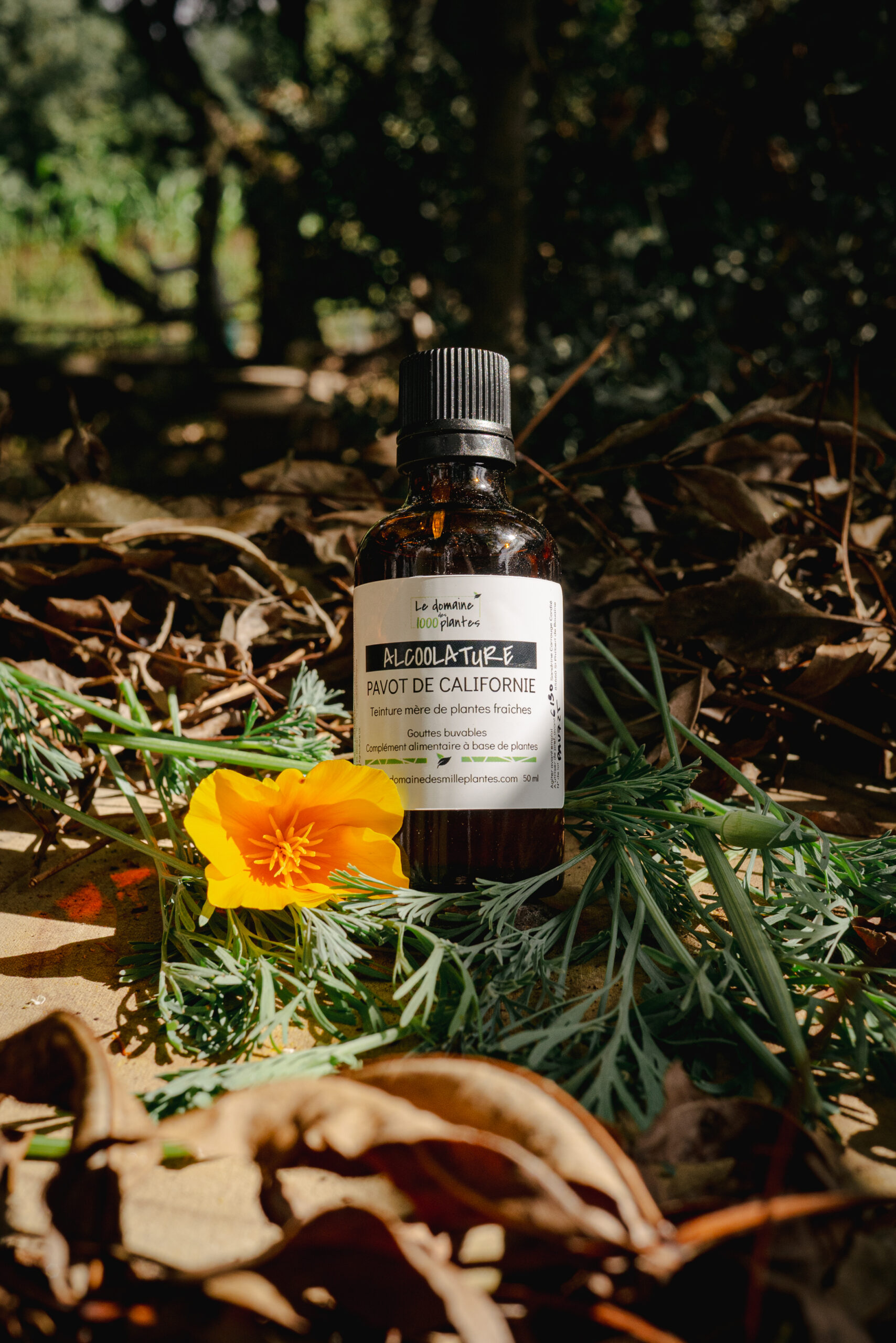 Alcoolature Bio Pavot de Californie