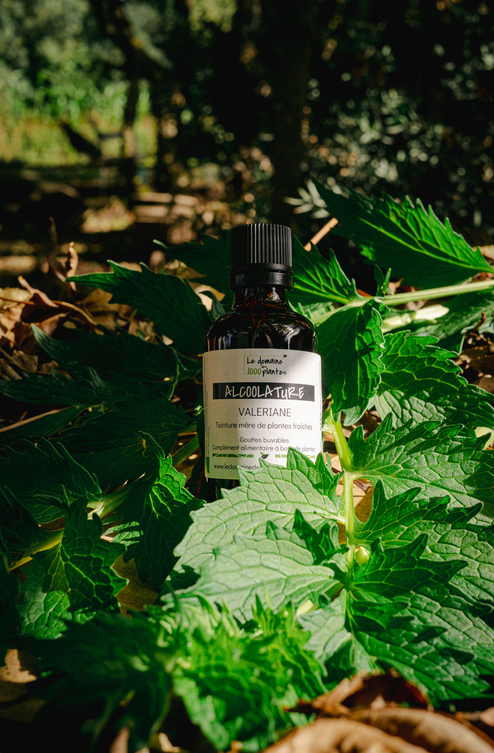 Alcoolature Bio Valériane