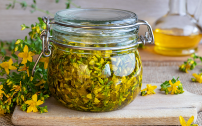 Les macérats huileux